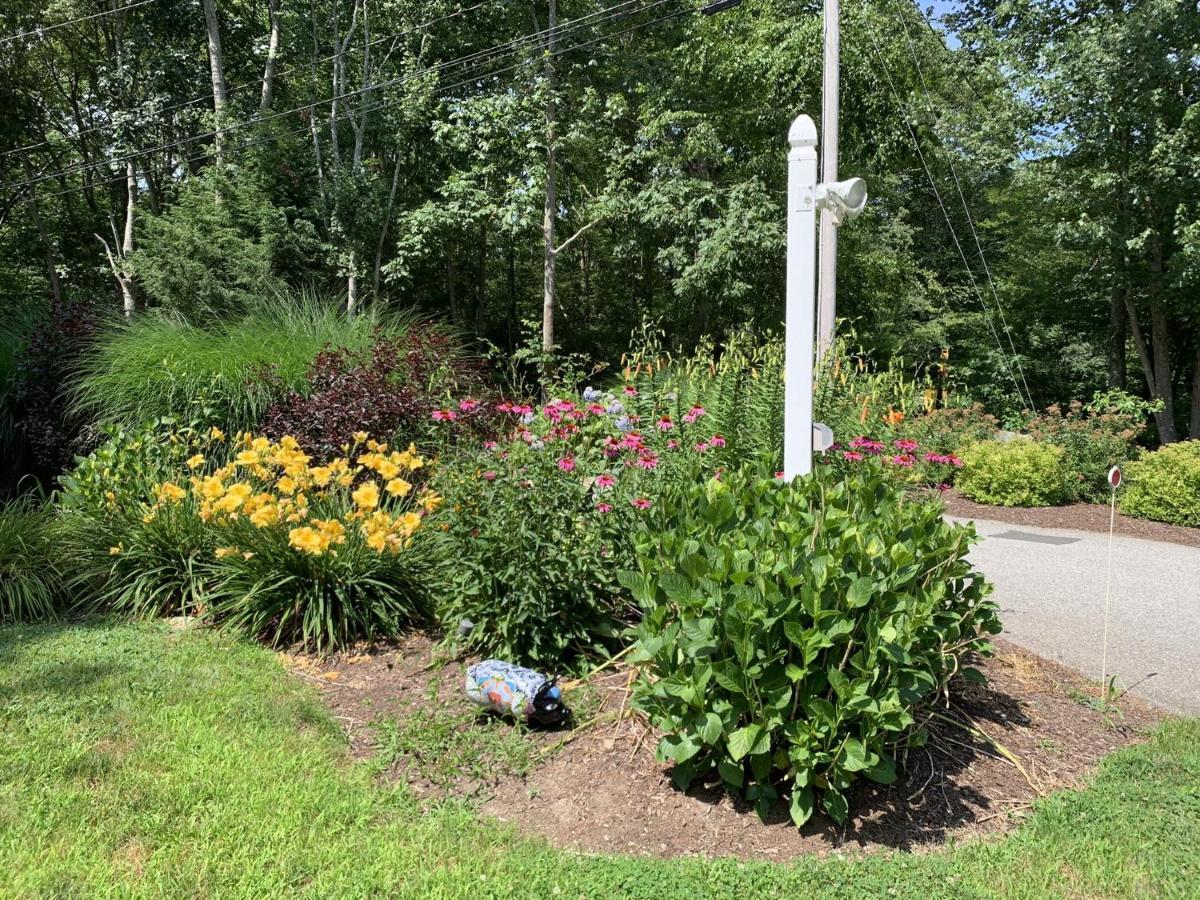 Cozy Bungalow Just Minutes From Mystic, Westerly Beaches, Boating And Casinos! Bungalow グロトン エクステリア 写真